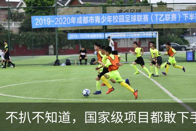 不扒不知道，国家级项目都敢下手