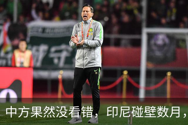 中方果然没看错，印尼碰壁数月，普拉博沃认清现实，把中企当家人