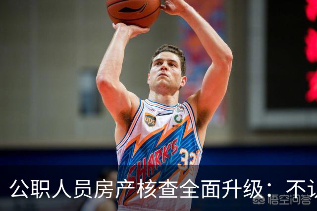公职人员房产核查全面升级：不认房本认资金所有隐形资产无处可藏
