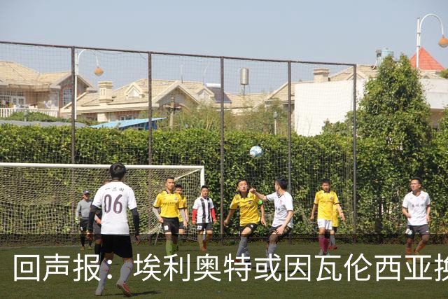 回声报：埃利奥特或因瓦伦西亚换帅陷出场时间不足困境