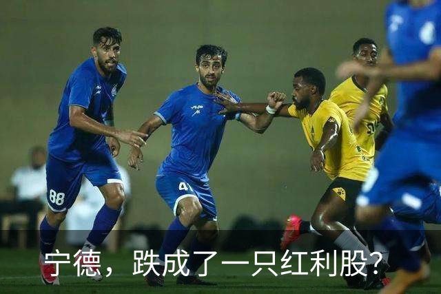 宁德，跌成了一只红利股？