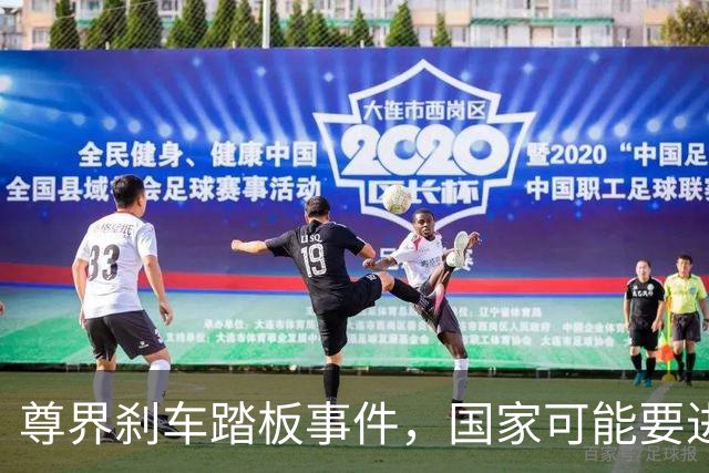 尊界刹车踏板事件，国家可能要进场了