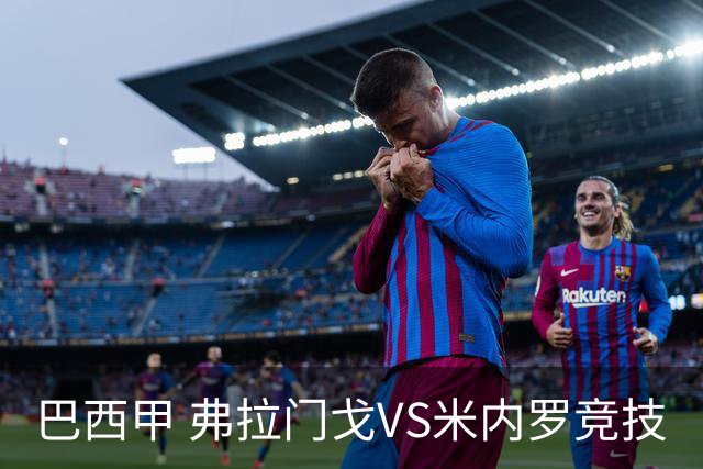 巴西甲 弗拉门戈VS米内罗竞技