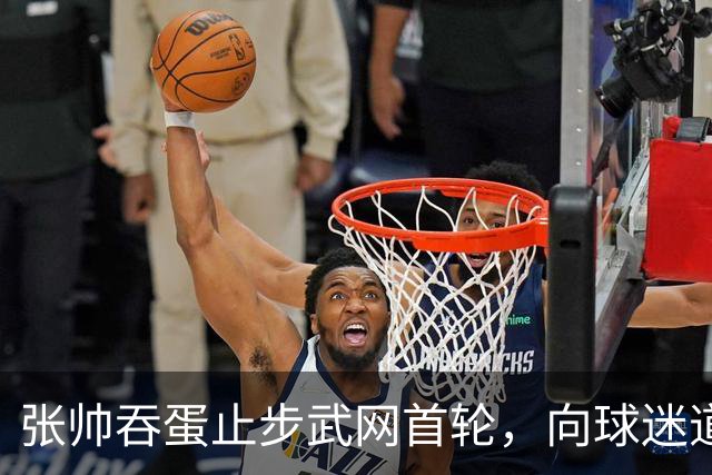 张帅吞蛋止步武网首轮，向球迷道歉，“筋疲力竭，骨头都要碎了”