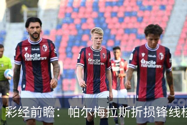 彩经前瞻：帕尔梅拉斯折损锋线核心，弗鲁米嫩塞主场力争先机