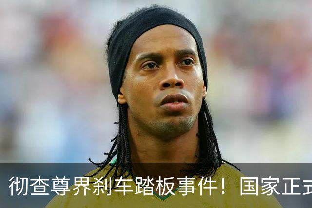彻查尊界刹车踏板事件！国家正式下场