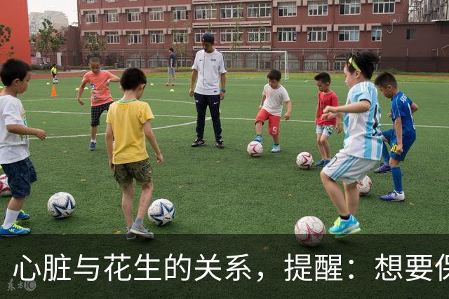 心脏与花生的关系，提醒：想要保护心脏健康，尽量少吃这3种坚果