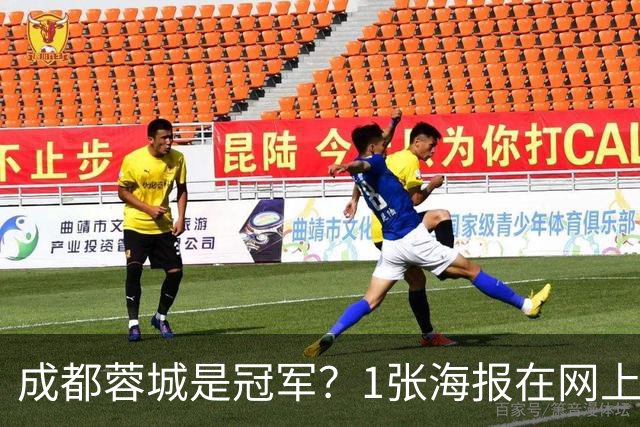 成都蓉城是冠军？1张海报在网上热传：中超5队托起大连英博冠军梦