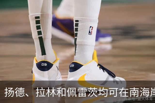 扬德、拉林和佩雷茨均可在南海岸德比中出场