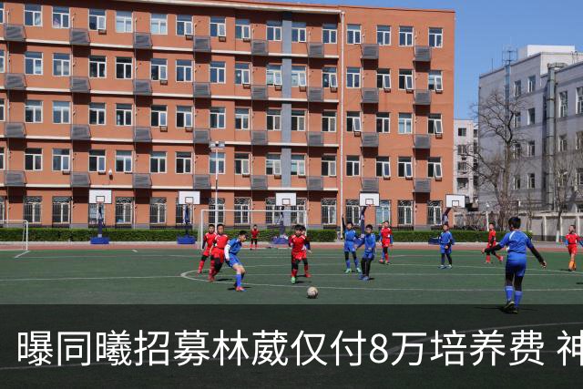 曝同曦招募林葳仅付8万培养费 神操作奠定未来