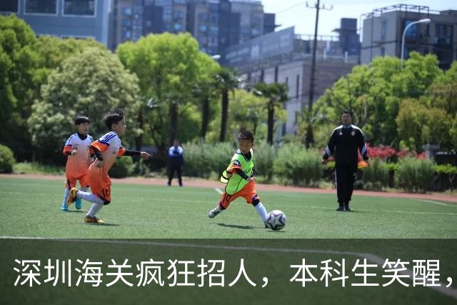 深圳海关疯狂招人，本科生笑醒，这几个专业简直是“天选之子”！
