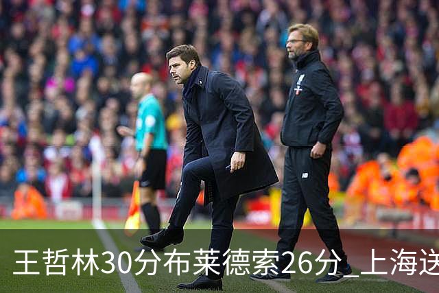 王哲林30分布莱德索26分 上海送宁波12连败