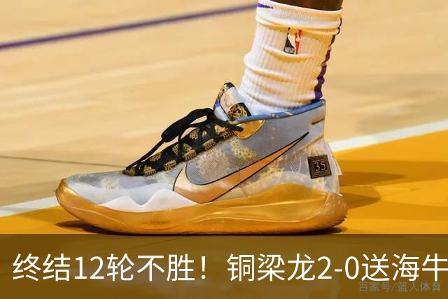 终结12轮不胜！铜梁龙2-0送海牛12连败 肯帕努迪马塔破门