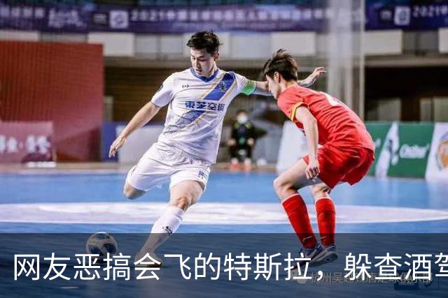 网友恶搞会飞的特斯拉，躲查酒驾、冲收费站、飞河流，安全是关键