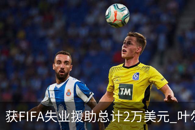 获FIFA失业援助总计2万美元 叶尔杰提成中国球员第一人