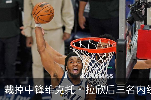 裁掉中锋维克托·拉欣后三名内线受伤 国王又与其签下训练营合同