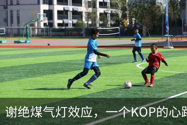 谢绝煤气灯效应，一个KOP的心路与表达