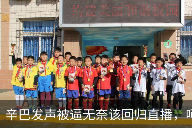 辛巴发声被逼无奈该回归直播，呵斥ks平台搞虚假繁荣