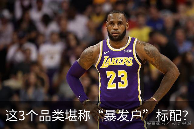 这3个品类堪称“暴发户”标配？第1中国几乎人手一个
