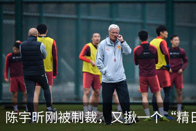 陈宇昕刚被制裁，又揪一个“精日”人员：竟然还是本土企业老板