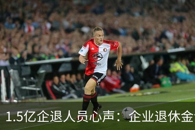 1.5亿企退人员心声：企业退休金该提一提，这份民生期盼不能忽视