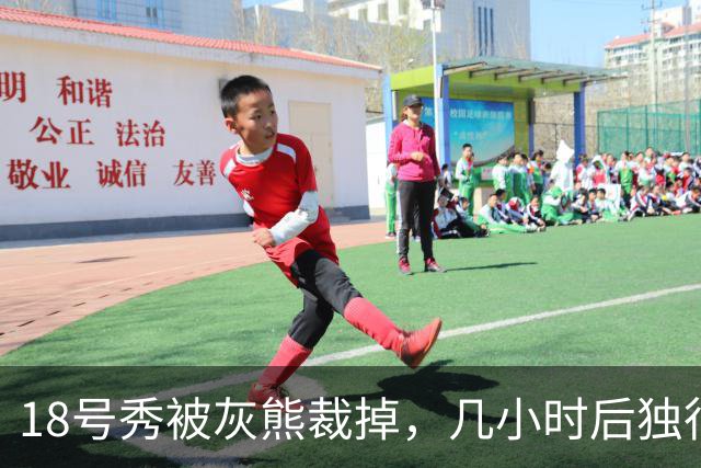 18号秀被灰熊裁掉，几小时后独行侠用双向合同签下他