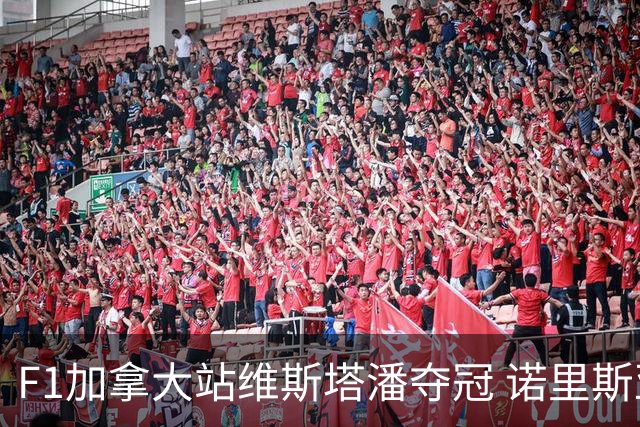 F1加拿大站维斯塔潘夺冠 诺里斯亚军 法拉利双退